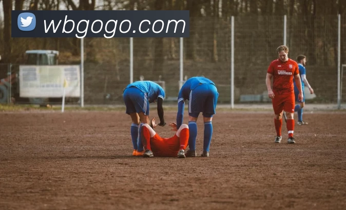 威博娱乐城官网平台生态图